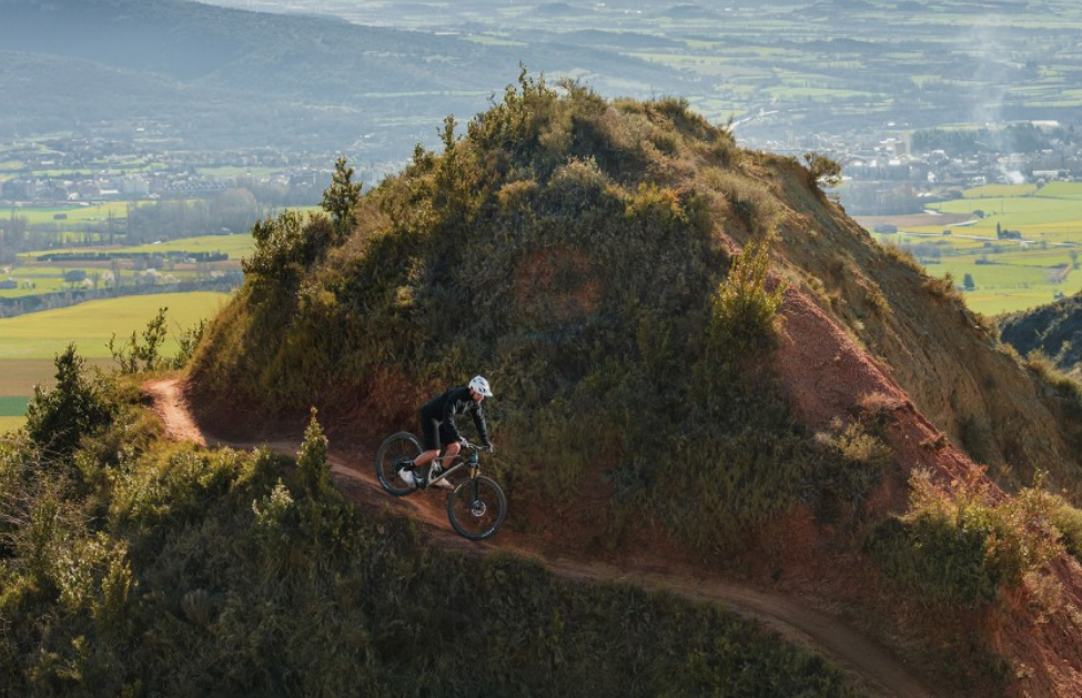 迅速提升运动表现的神器：甜菜根